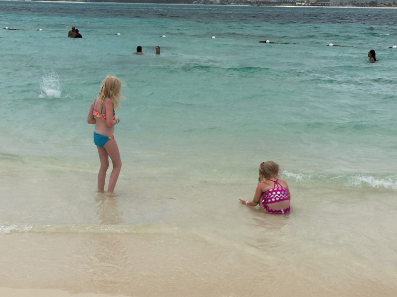 swimming with dolphins bahamas