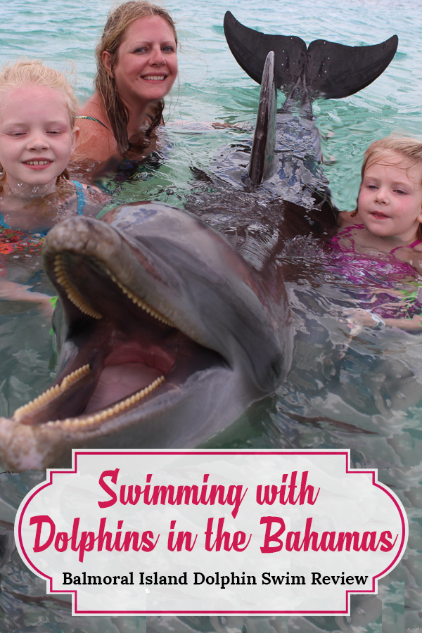 swimming with dolphins bahamas