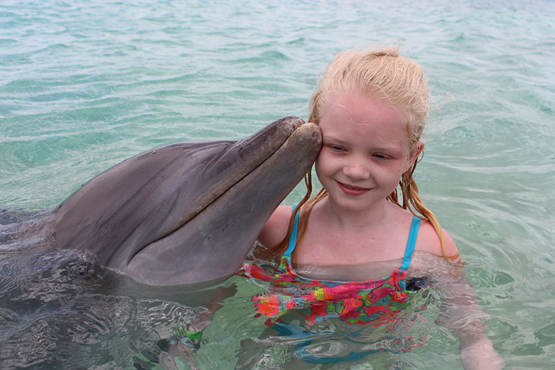 swimming with dolphins bahamas