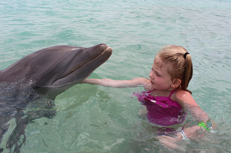 swimming with dolphins bahamas
