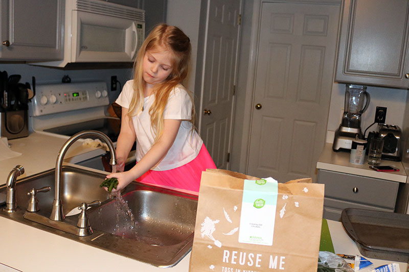 Meal Subscription Box Review For HelloFresh