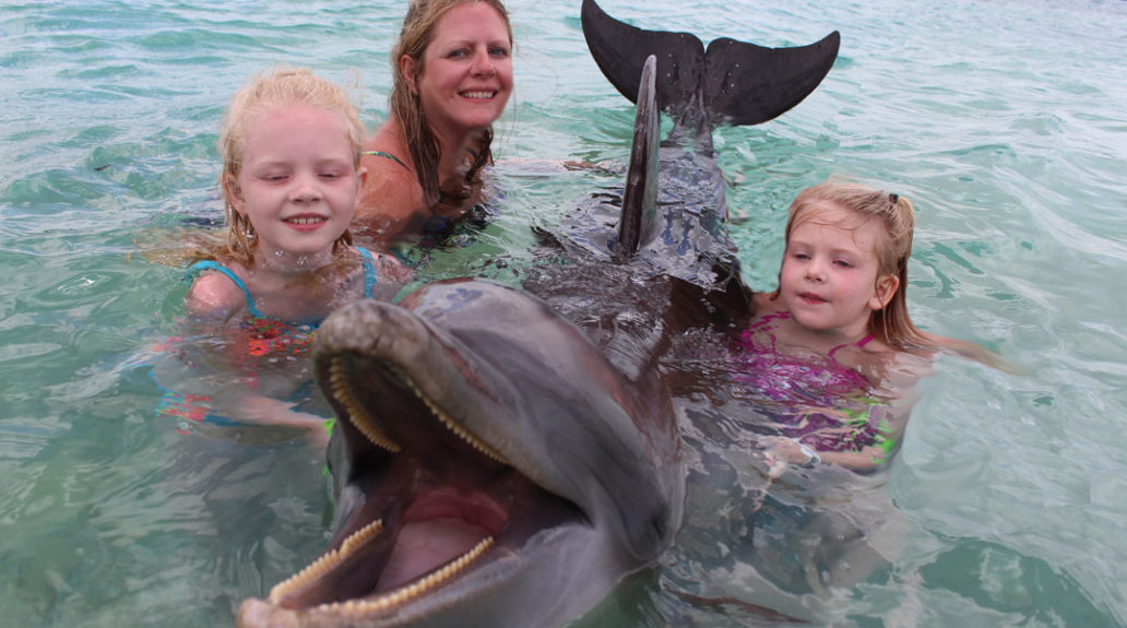 swimming with dolphins bahamas