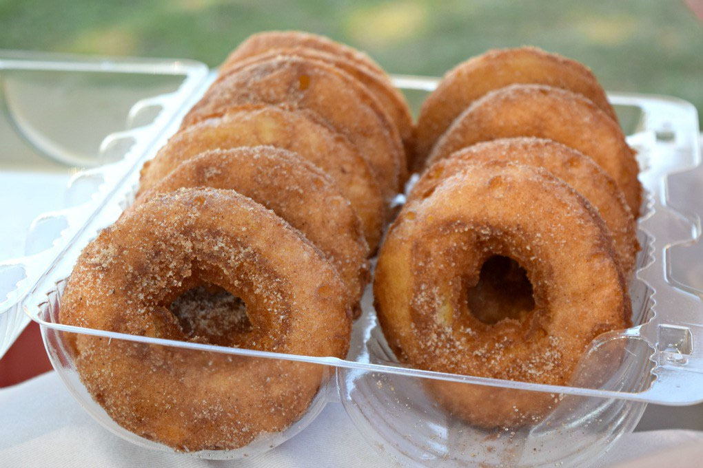 sky top orchard apple cider donuts