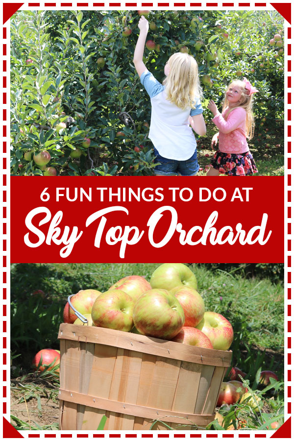 sky top orchard apple picking pin